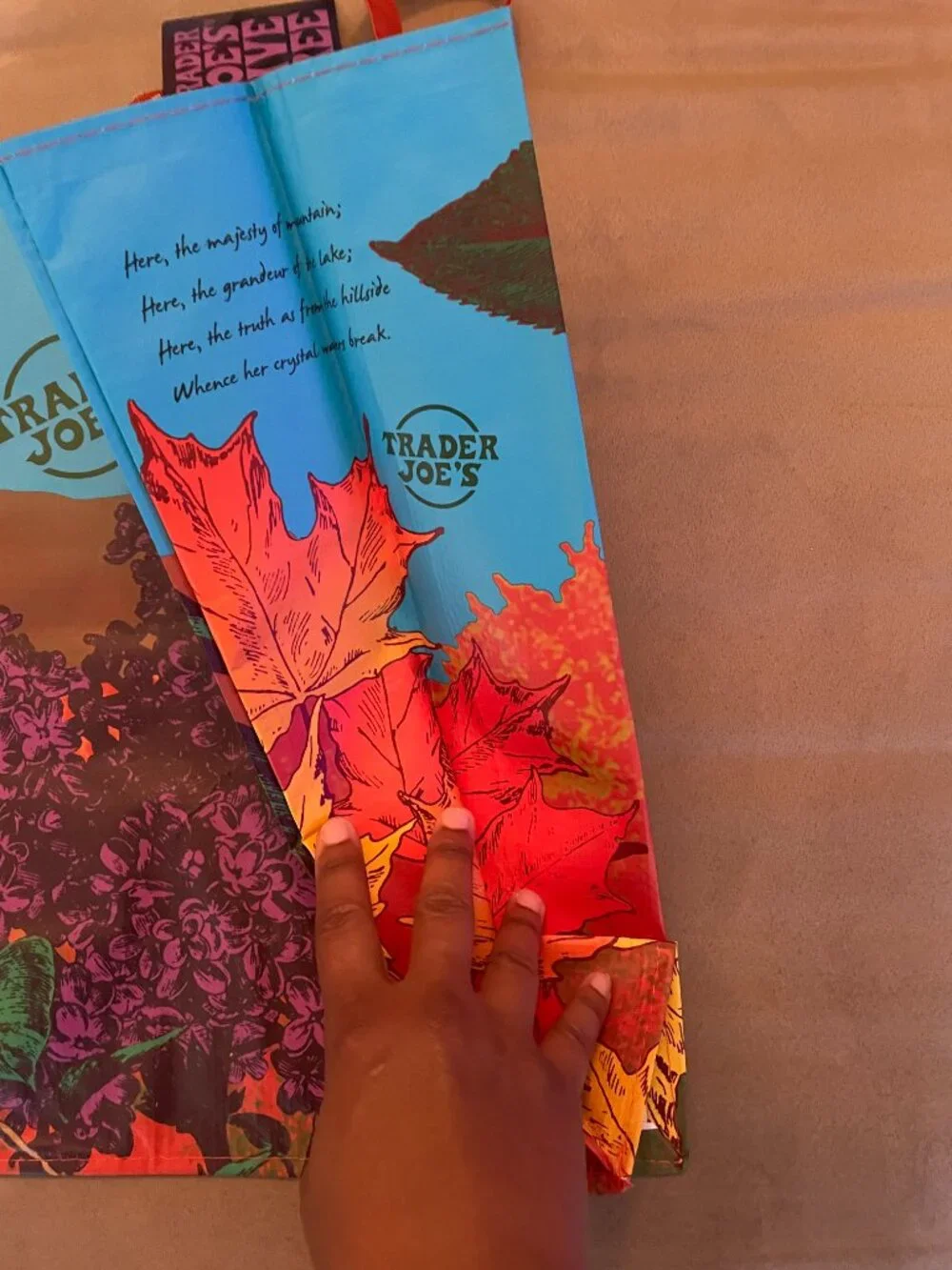 Trader Joe's TJs LIMITED EDITION Tote - New Hampshire NH State Bag